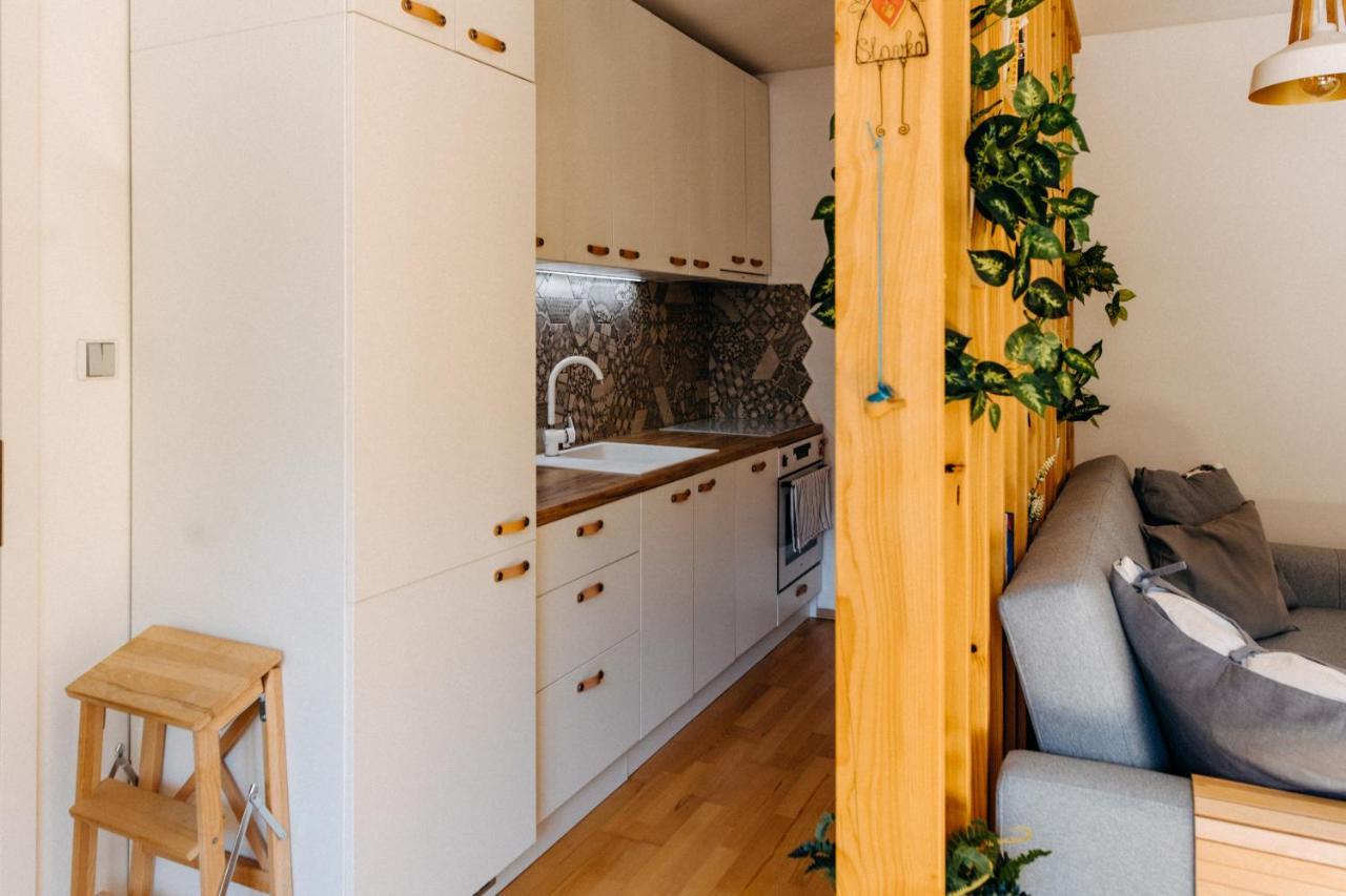 Apartman V Srdci Znojma „Jako Doma“ Znojmo Dış mekan fotoğraf